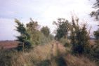 [Burma Road, towards Lavenham]